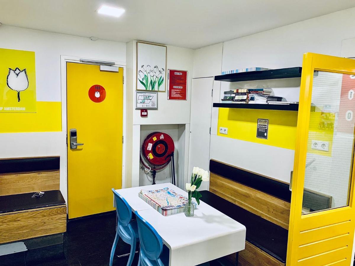 Bunk Bed Mixed Dormitory Room