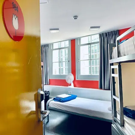 The White Tulip Hostel-3